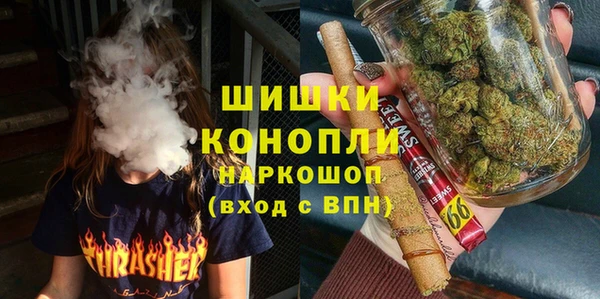 трава Алапаевск