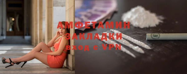 трава Медвежьегорск