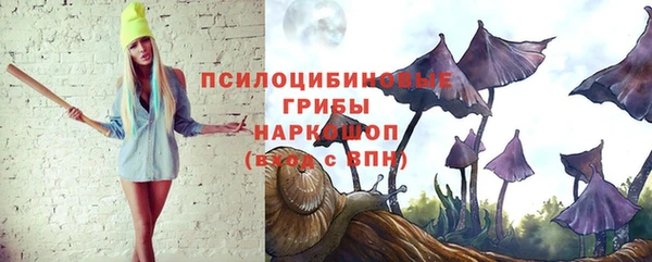 трава Медвежьегорск