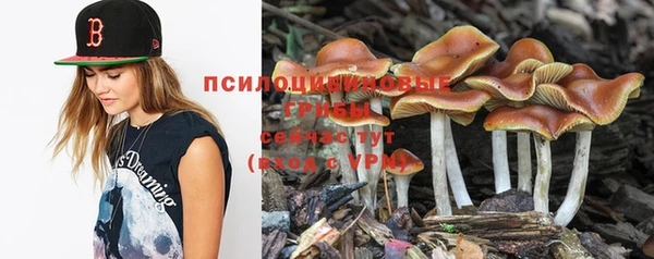 мескалин Мегион
