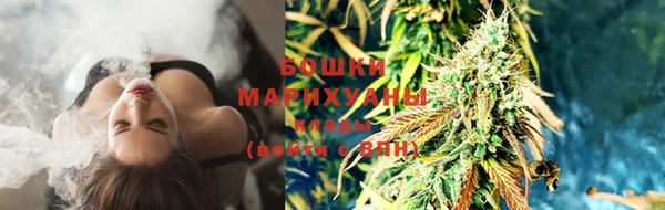 мескалин Мегион
