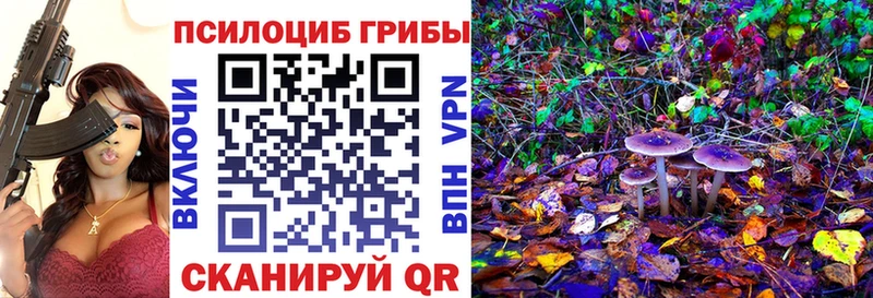 kraken вход  как найти наркотики  Одинцово  Галлюциногенные грибы Magic Shrooms 